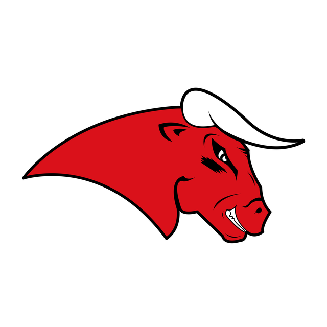 Coesfeld Bulls